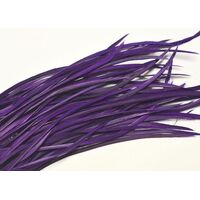 Biots/Qty 50 [Colour: Purple]
