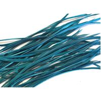 Biots/Qty 50 [Colour: Teal]