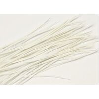 Biots/Qty 50 [Colour: White]