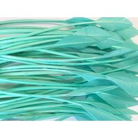 Arrowhead [Colour: Aqua]