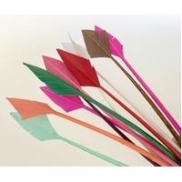 Qty 10/Arrowhead [Colour: Assorted]