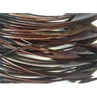 Arrowhead [Colour: Brown]