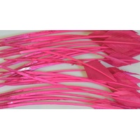 Arrowhead [Colour: Fuchsia]