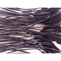 Arrowhead [Colour: Grape]