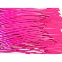 Arrowhead [Colour: Hot Pink]
