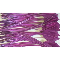 Arrowhead [Colour: Magenta]