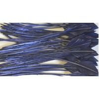 Arrowhead [Colour: Navy]