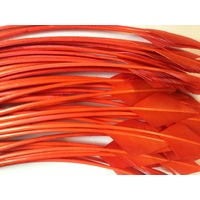 Arrowhead [Colour: Orange]