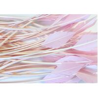 Arrowhead [Colour: Pink]