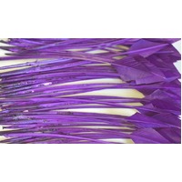 Arrowhead [Colour: Purple]