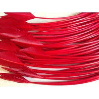 Arrowhead [Colour: Red]