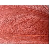 Burnt Ostrich Feather [Colour: Coral]