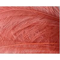 Burnt Ostrich Feather [Colour: Coral]