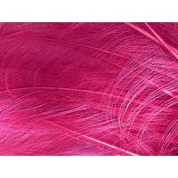 Burnt Ostrich Feather [Colour: Hot Pink]