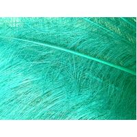 Burnt Ostrich Feather [Colour: Jade]