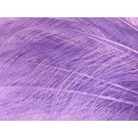 Burnt Ostrich Feather [Colour: Lilac Dark]