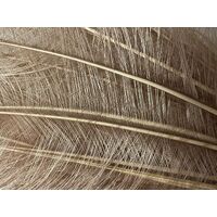 Burnt Ostrich Feather [Colour: Nude]