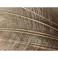 Burnt Ostrich Feather [Colour: Nude]