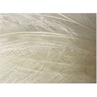 Burnt Ostrich Feather [Colour: Off White]