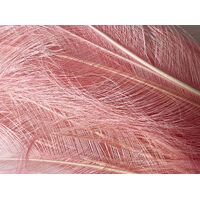 Burnt Ostrich Feather [Colour: Pink]