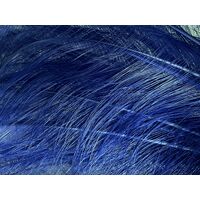 Burnt Ostrich Feather [Colour: Royal]