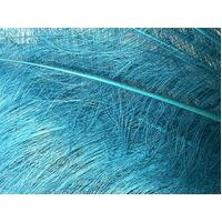 Burnt Ostrich Feather [Colour: Turquoise]