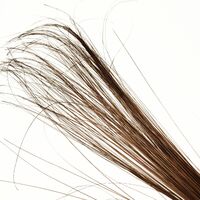 Burnt Peacock Herl [Colour: Brown]