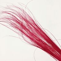 Burnt Peacock Herl [Colour: Fuchsia]