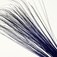 Burnt Peacock Herl [Colour: Navy]