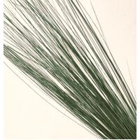 Burnt Peacock Herl [Colour: Olive]