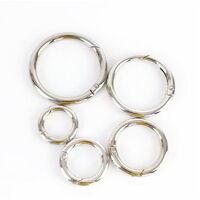 O Ring/Spring Gate - Silver [Size: 19mm]