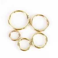 O Ring/Spring Gate - Gold [Size: 20mm]