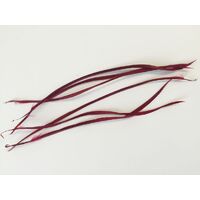 Biot Feather - Qty 6 [Colour: Burgundy]