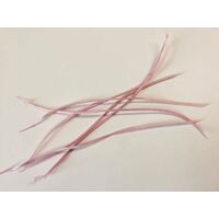 Biot Feather - Qty 6 [Colour: Dusty Pink]