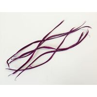 SPECIAL/Biot Feather - Qty 6 [Colour: Magenta]