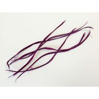 Biot Feather - Qty 6 [Colour: Magenta]