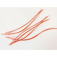 Biot Feather - Qty 6 [Colour: Orange]