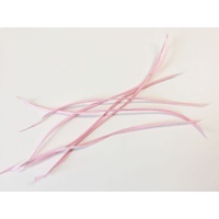 SPECIAL/Biot Feather - Qty 6 [Colour: Pink]