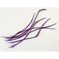 SPECIAL/Biot Feather - Qty 6 [Colour: Purple]