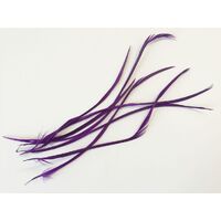 Biot Feather - Qty 6 [Colour: Purple]