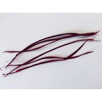 Biot Feather - Qty 6 [Colour: Wine]