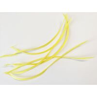 Biot Feather - Qty 6 [Colour: Yellow]