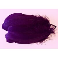 Nagoire/Full - Qty 6 [Colour: Magenta]