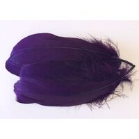 Nagoire/Full - Qty 6 [Colour: Purple]