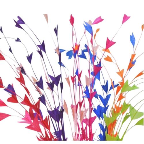 SPECIAL/Coque/Arrow Cut - Qty 6