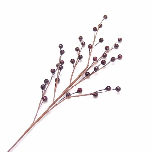 SPECIAL/Berry Spray - Dark Berry