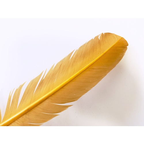 Wing Feather - Mustard