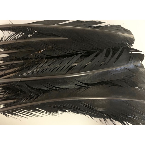 SPECIAL/Wings - Black (Qty 20)