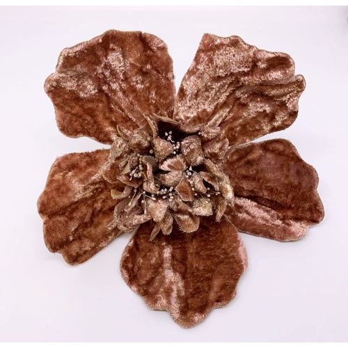 SPECIAL/Velvet Flower - Caramel