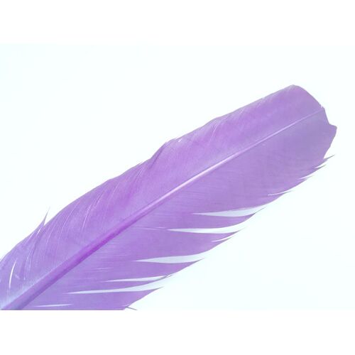 Wing Feather - Lilac